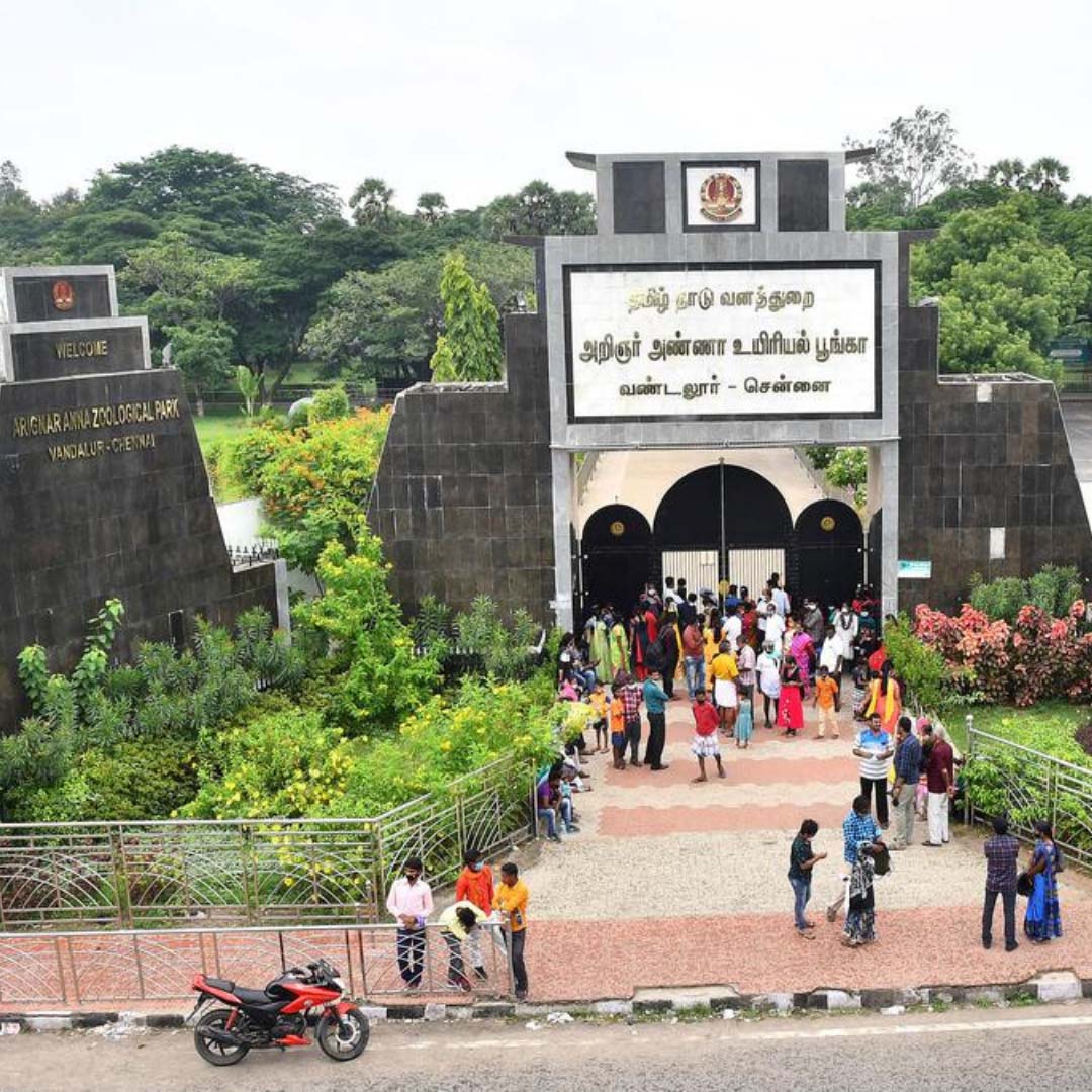 Affordable drop taxi Madurai